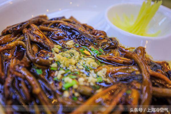 在向往的城市生活,启东向往的生活