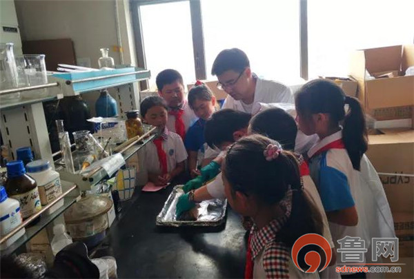 小手拉大手美丽海洋我行动——崂山区东韩小学护海小志愿者在行动