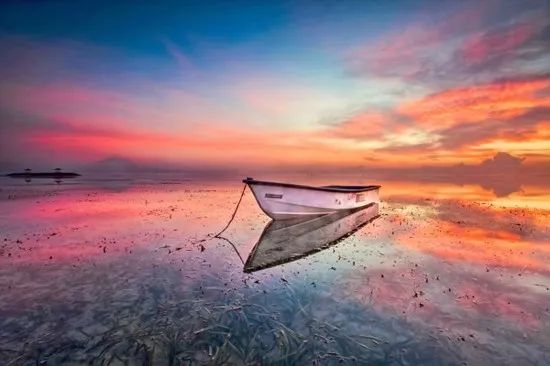 光与影迟子建,关于迟子建的图片