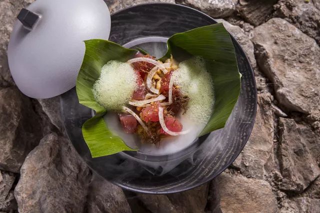 stay旅行者,stay旅行