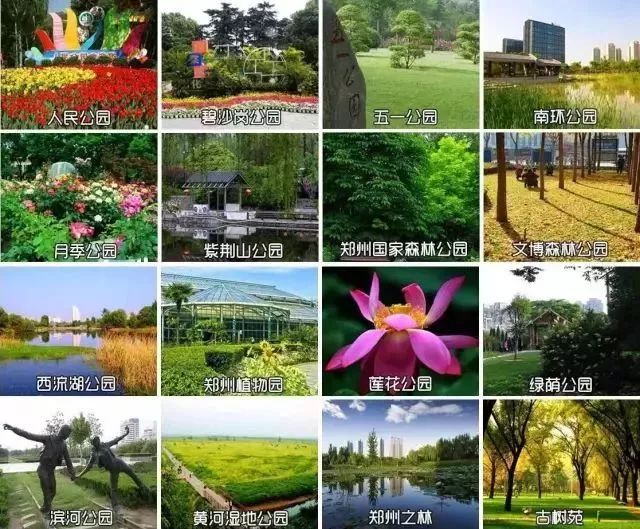 省下一大笔！今天起，郑州这些统统免费，不知道你就亏大了