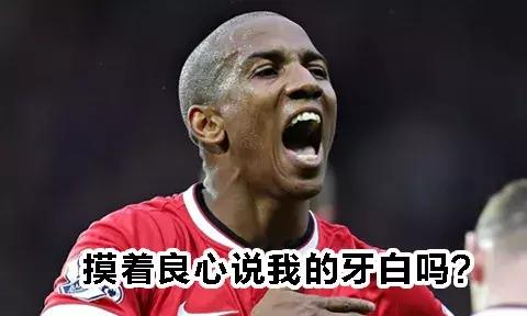 三狮和三猫谁厉害,英格兰足球三狮军团三喵