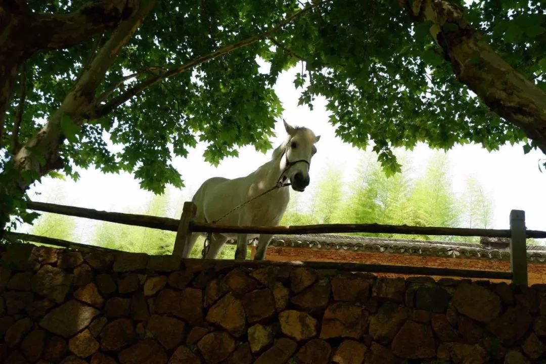 昌河q7深度评测,昌河q7试驾视频最新
