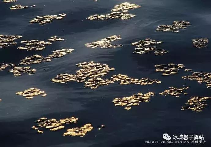 有一处叫世外桃源的地方,有一个地方是世外桃源