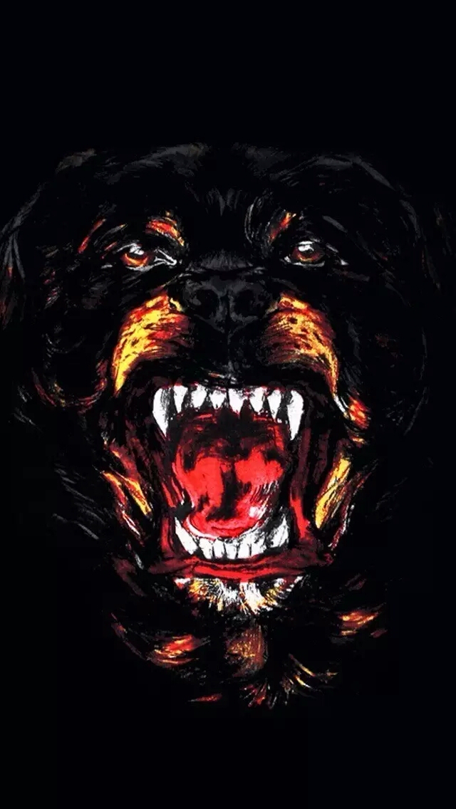 thenorthfacelogo壁纸,windows11logo壁纸超清4k手机