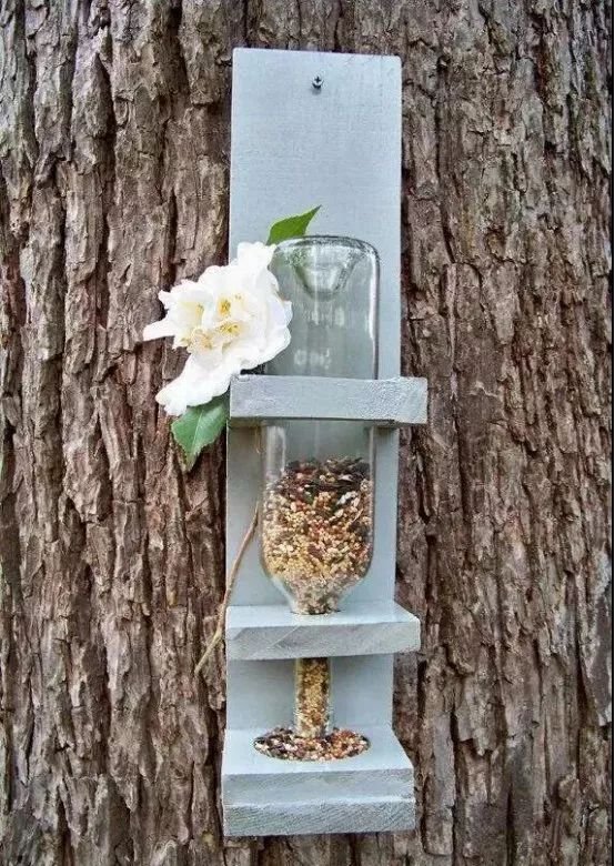 创意农业丨妙用瓶子,让你的农场不一样