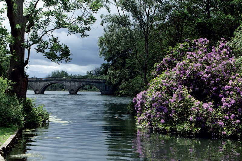 拍照迅速出片,单反相机的相片迅速出片