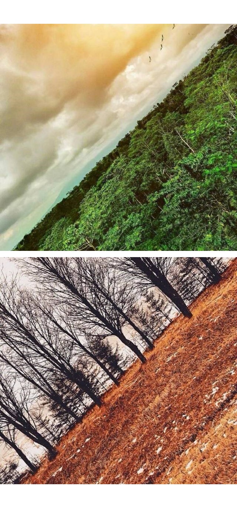 为什么你还不是网红？因为你不会拍照啊！