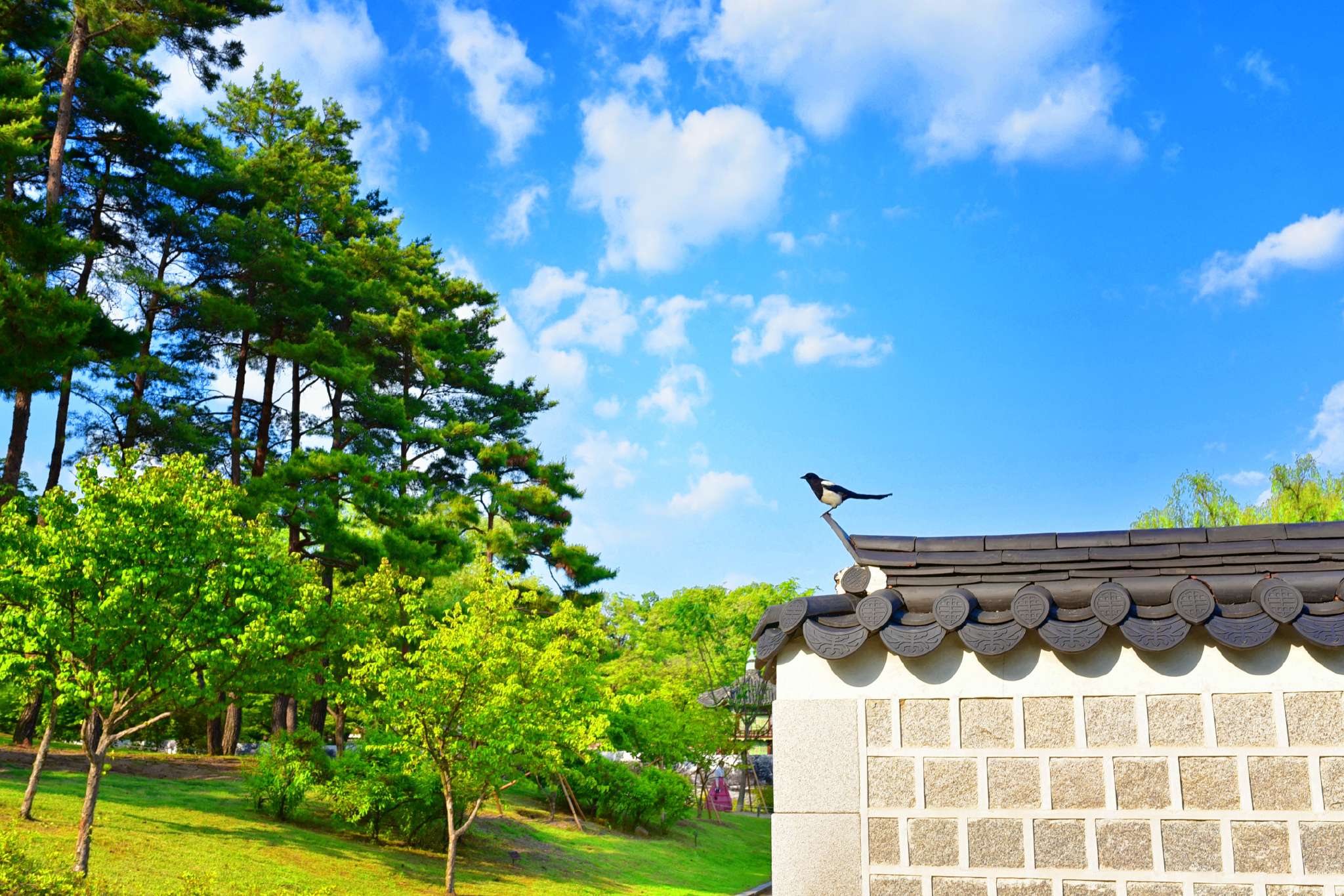 韩国排名第一的韩剧,韩国公认最好看的韩剧