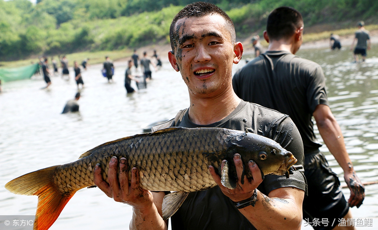 专钓滑口和轻口鲫鱼的饵料搭配,对付轻口鲫鱼滑口鲫鱼使用什么漂