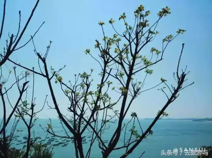 福建小垦丁镇海角骑行一日游,厦门旅游东山攻略路线