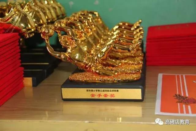 高碑店市青少年足球比赛,高碑店东环路小学足球校队比赛