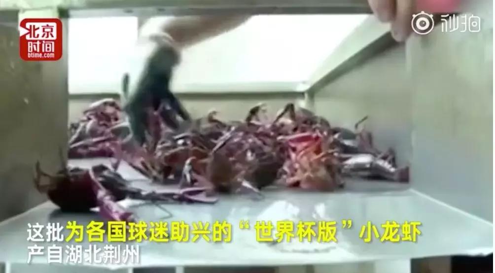 没想到,代替国足“征战”世界杯的,是10万只小龙虾……