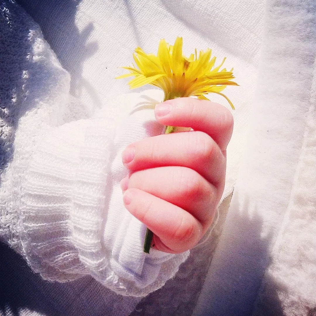 与众不同的手机铃声,与众不同的手机桌面