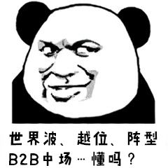 足球游戏98世界杯,世界杯就要来了