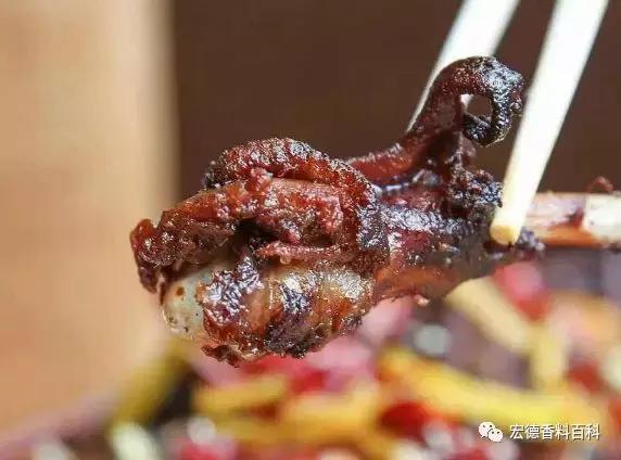 红烧乳鸽卤水的绝密配方,卤水的绝密配方多少钱呀