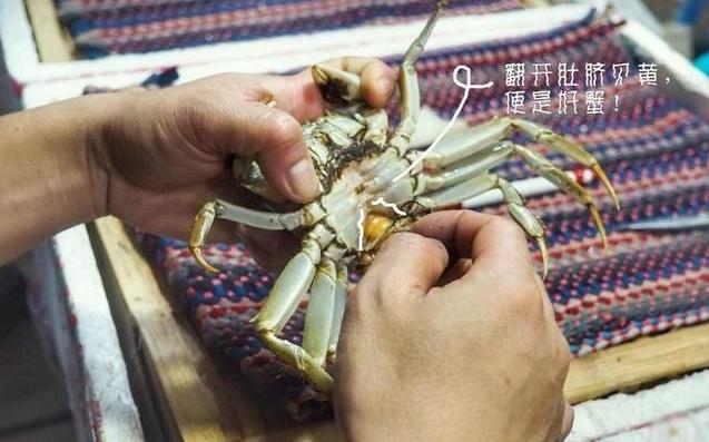 端午节吃什么海鲜比较好,端午海鲜如何选