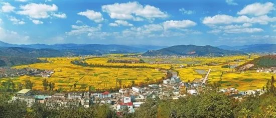 两公布一提示|端午情浓玉溪交警为你送上“平安粽”