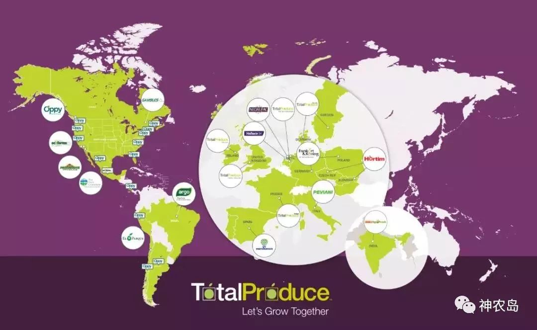 dole閮戒箰鏅哄埄瑗挎,dole閮戒箰闈掑矝