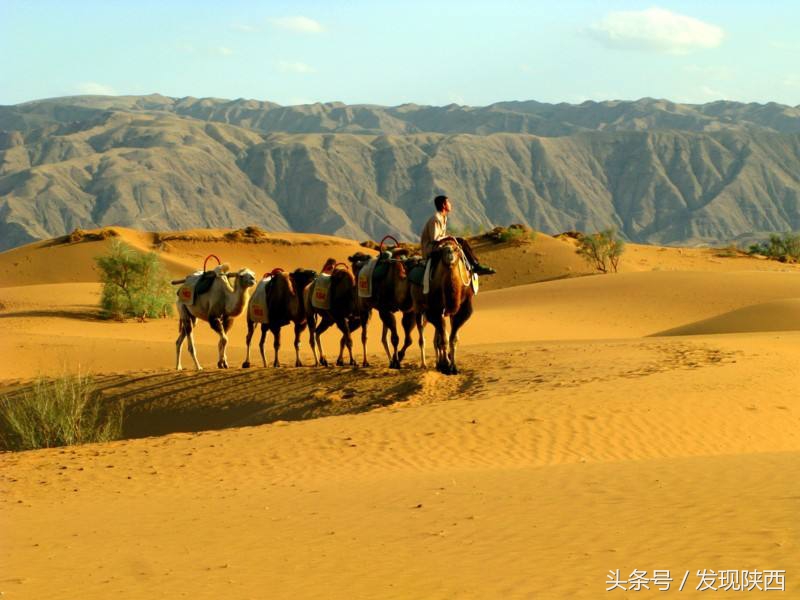 巴基斯坦留学生告诉你巴铁有多铁,巴基斯坦留学生讲述