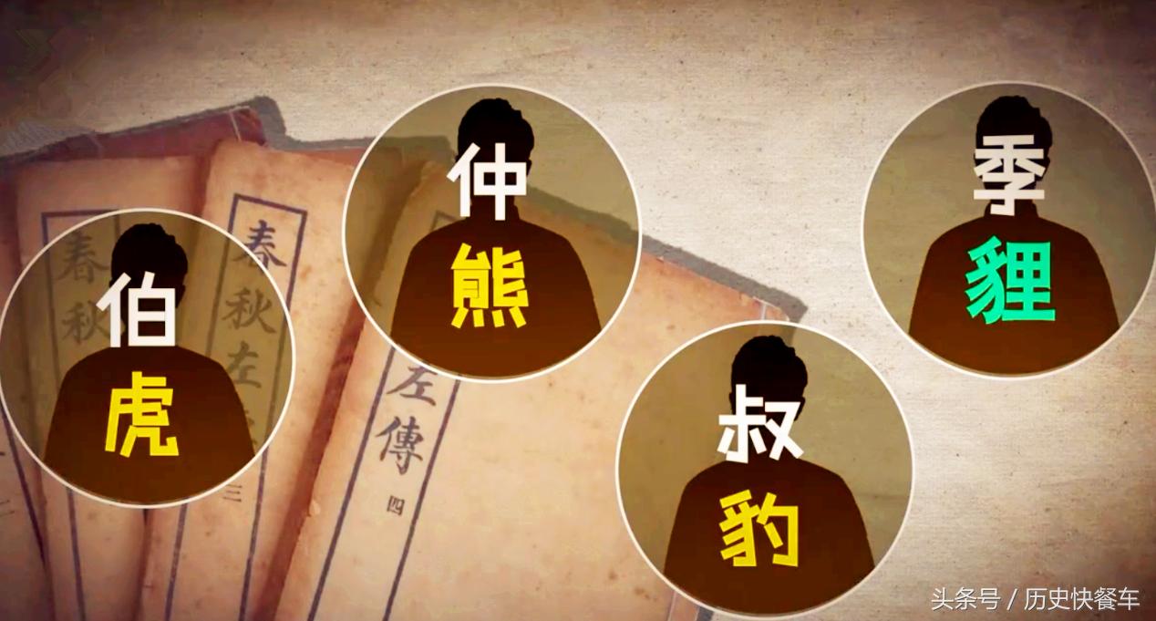 喵星人的变化史,喵星人养猫13年经验分享