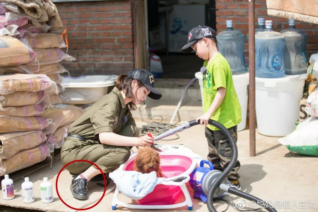 黄圣依节目中狂炫富,霍思燕黄圣依最新视频