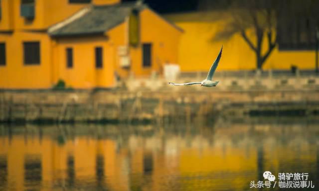 江苏古镇景点排名前十名,江苏最全古镇清单