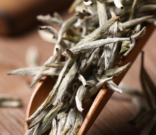 白毫银针提取物用于香奈儿,香奈儿十号乳液白茶