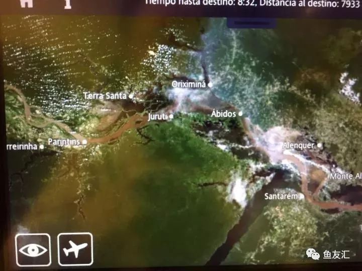 特隆贝塔如何饲养,特隆贝塔半皇与红彩区别