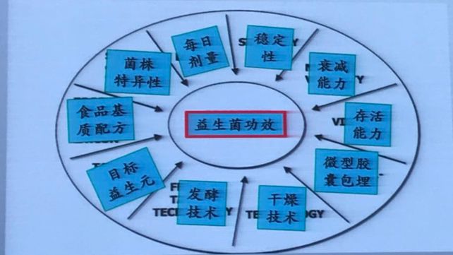 益生菌再认识，它是如何调节小儿免疫的？