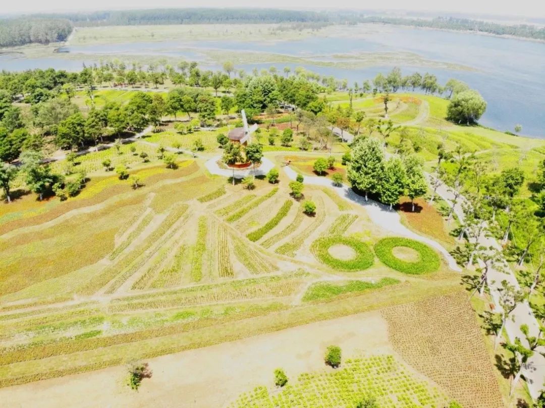来赏花郁金香花展已开启,春日踏青花博会