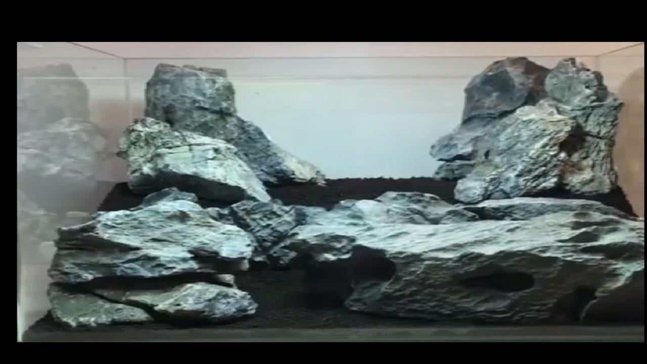 草缸造景以后加水很浑浊,鱼缸造景草缸教程步骤讲解