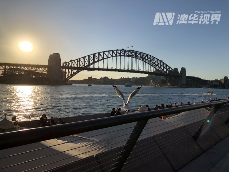 悉尼市发展规划,悉尼前瞻采访