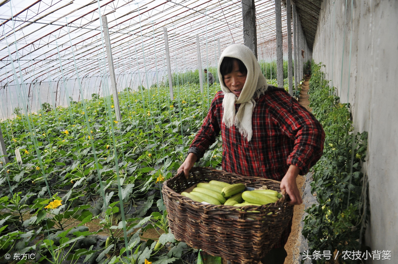 怎么选购生物菌剂,市场上微生物菌剂都什么价位