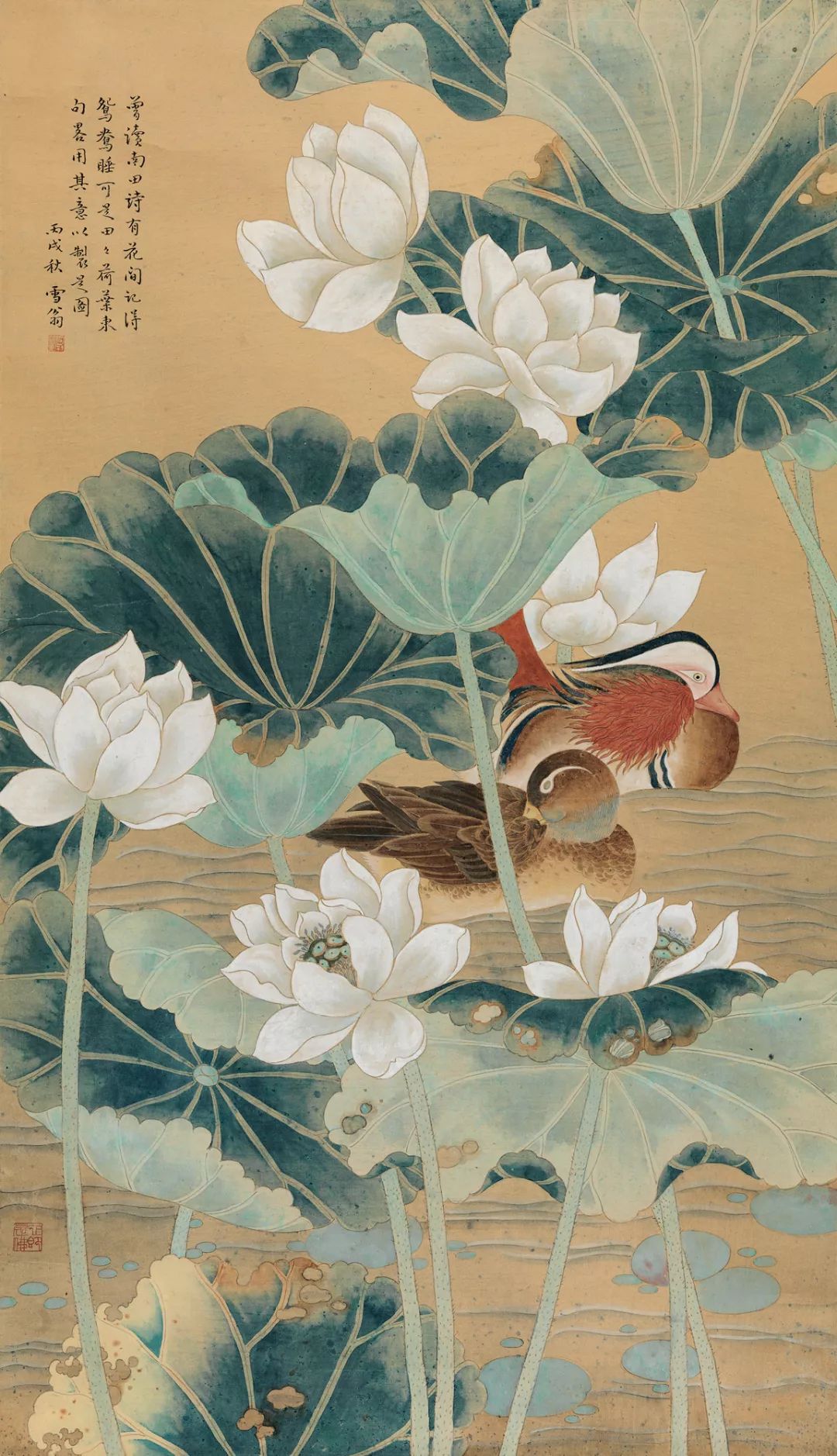 帽哥最新直播回放,帽哥直播回放完整版合集