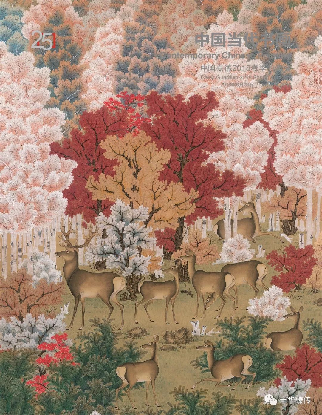 帽哥最新直播回放,帽哥直播回放完整版合集