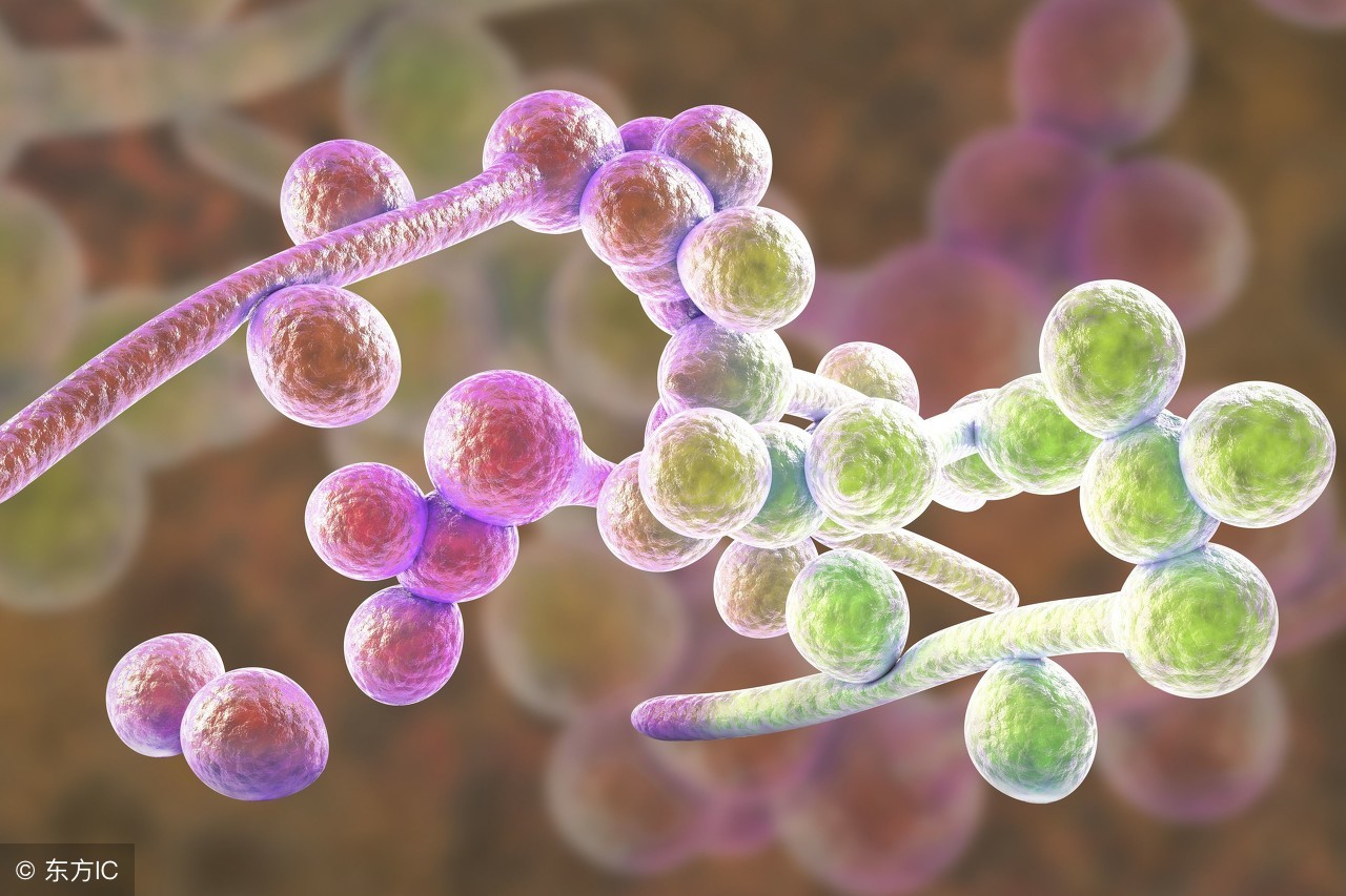 尿道瘙痒刺痛偶尔流白色脓状物,尿道口瘙痒有白色分泌物怎么回事