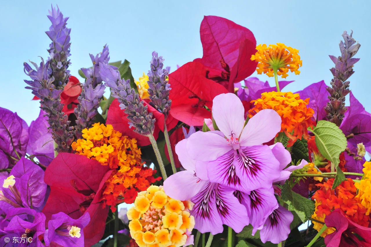 生活小常识收藏,各种实用的生活小常识