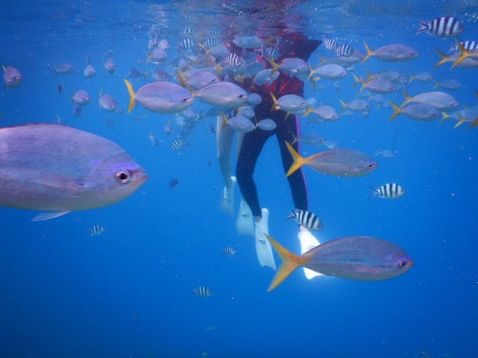 端午来这个绝美海岛,端午海岛游