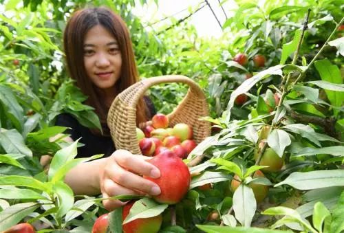 端午去哪玩,端午去哪玩闯关