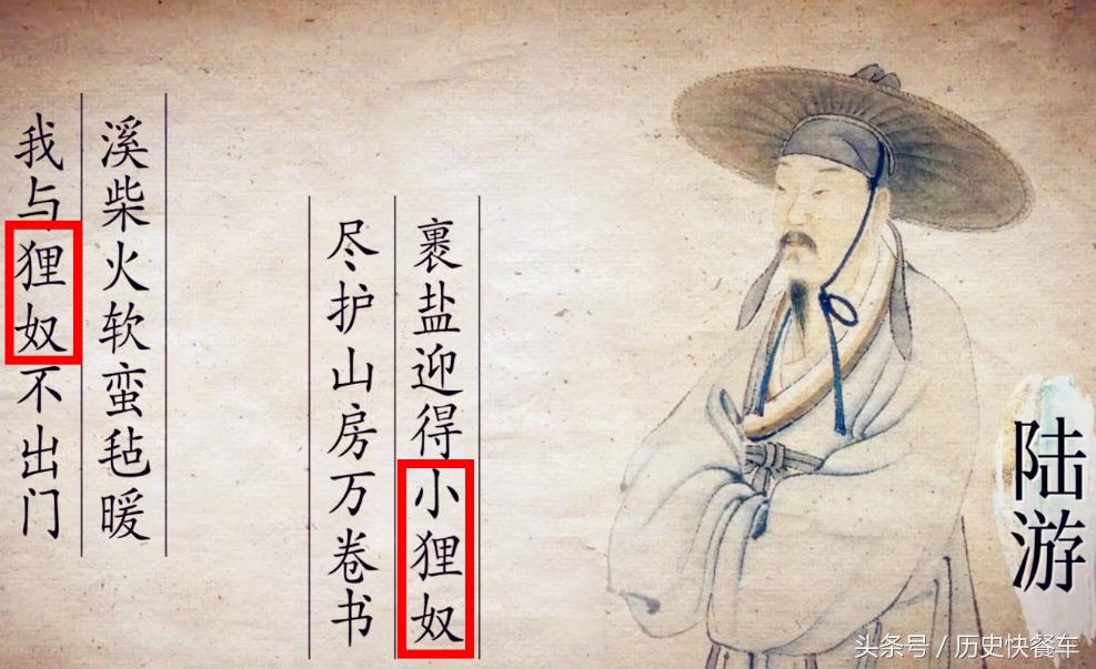 喵星人的变化史,喵星人养猫13年经验分享