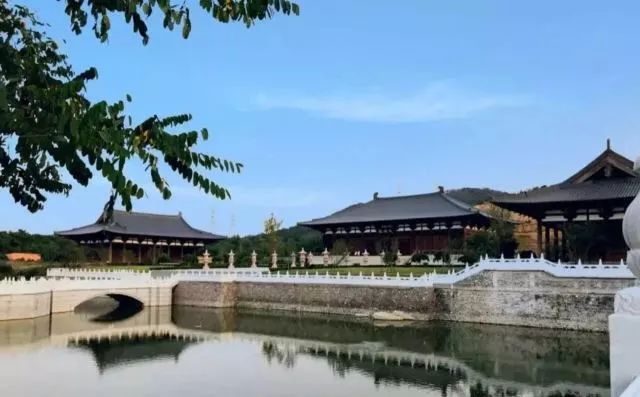 不用计划了！大连人的这个端午，看着这条微信过就行！