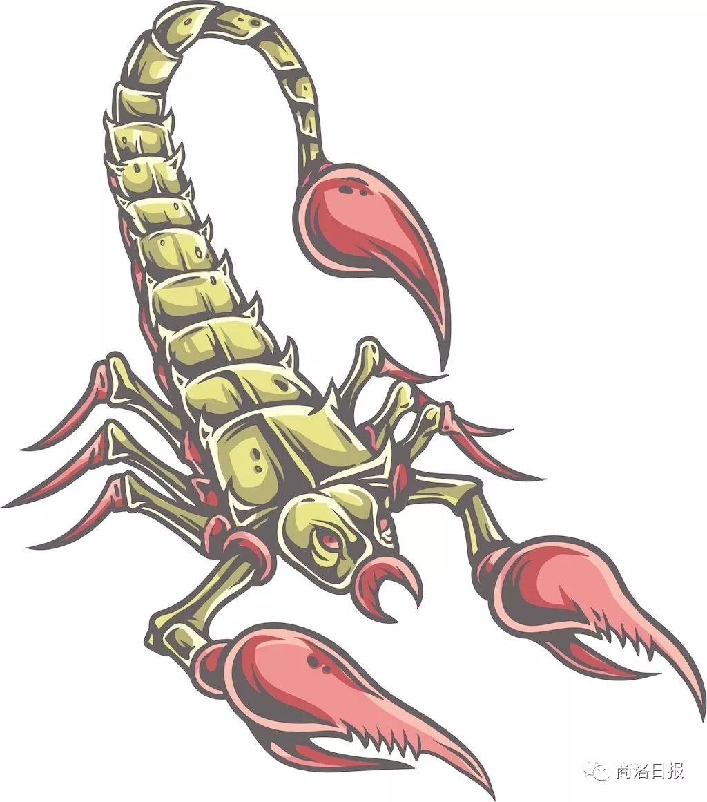 端午防五毒是哪五毒,端午驱五毒的方法