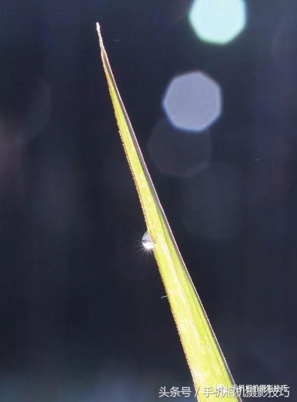 怎么学会给图片起名字呢,如何给照片取名字呢