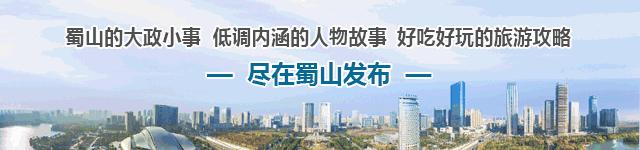 蜀山区税务大厅位置,蜀山区税务机关