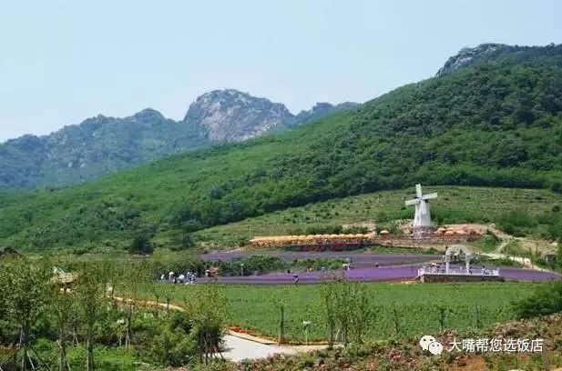 大连自驾游的游记,大连近郊游自驾推荐