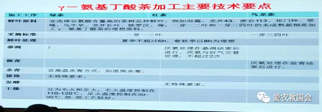 商机处理基本步骤,白叶茶培育