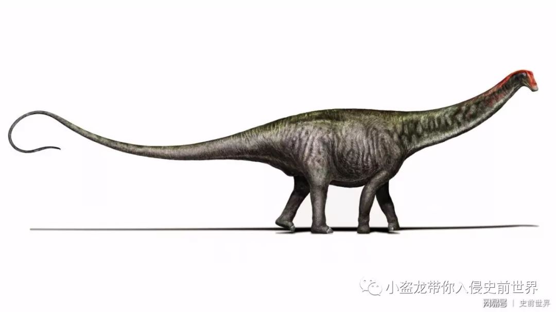 《侏罗纪世界2》所有恐龙的名字,侏罗纪世界2里面所有的恐龙名字