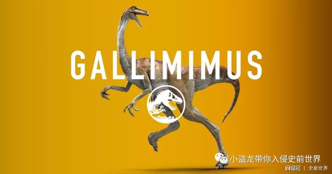 侏罗纪世界2一口气看完解说,《侏罗纪世界2》所有恐龙的名字