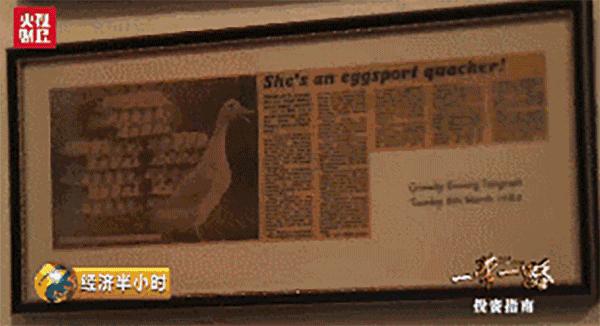 北京鸭流落百年终回家,中国公司15亿元购英国“樱桃谷鸭”